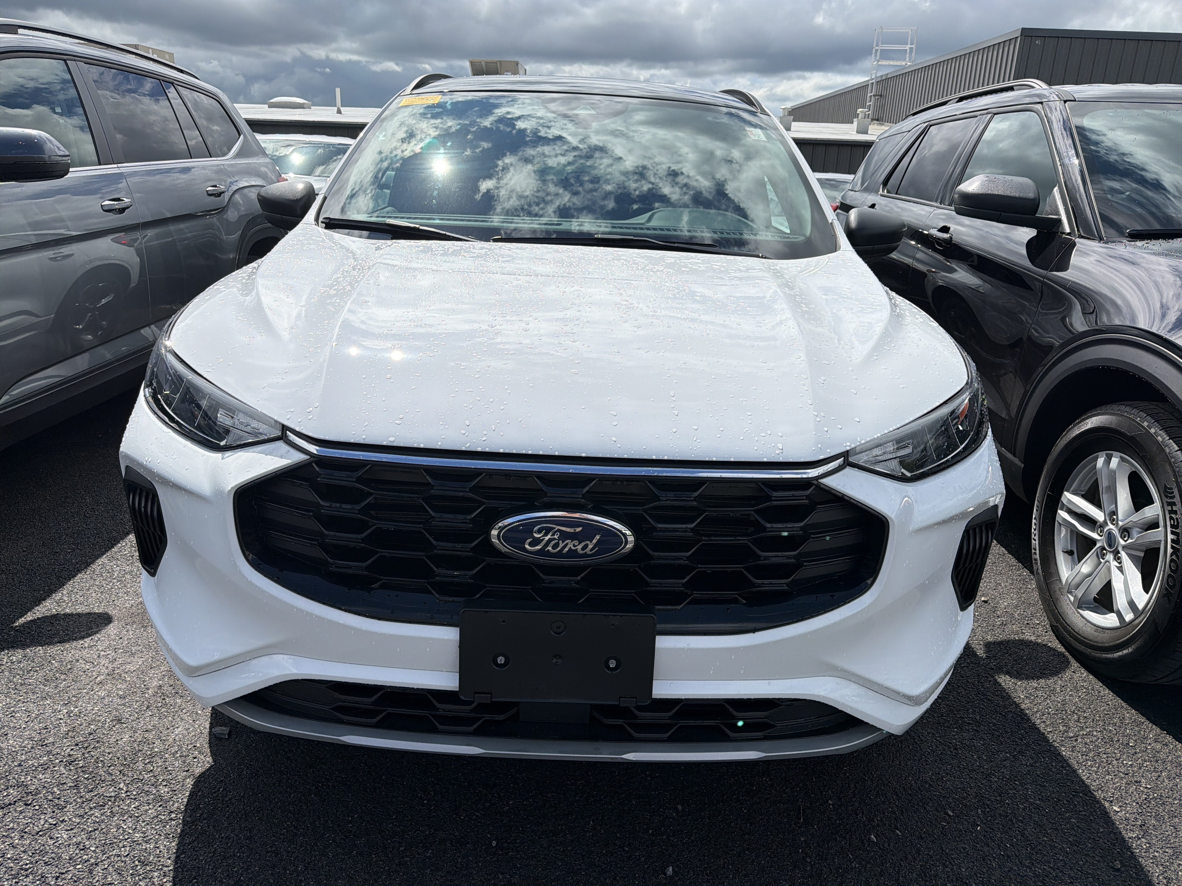 2023 Ford Escape ST-Line